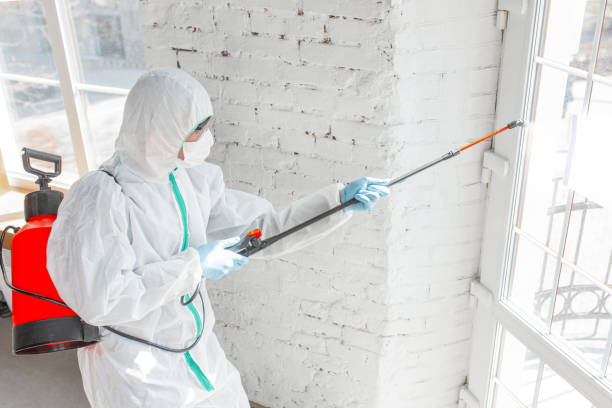 Why You Should Choose Our Mold Remediation Services in Laurel Park, NC